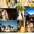 Email Database – Wedding  婚禮行業電郵數據庫